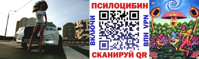 MEGA tor  Сурск  Псилоцибиновые грибы MAGIC MUSHROOMS 
